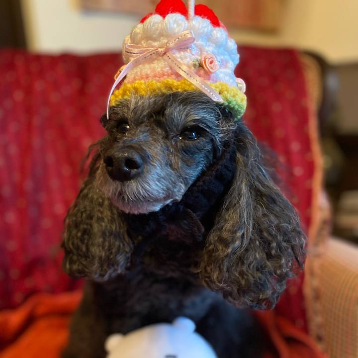 07286734 4974 470b bdac 6d45a3b656cf 1719796491942