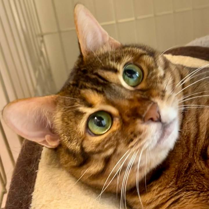 07287bec fa48 4a69 b5b5 db0e6decc6f1 1680935450454