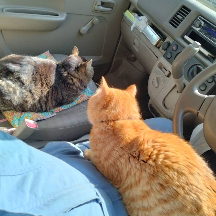 07287d29 717a 4db6 a646 4f4f9cb58bb6 1682147919664