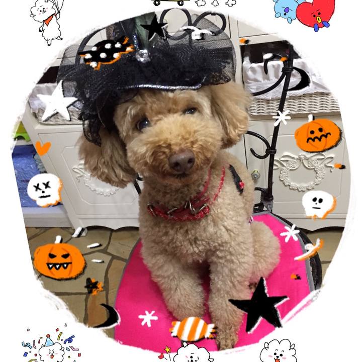 0728a0e2 10b5 4ed2 93ec e3184ac97719 1508571424366