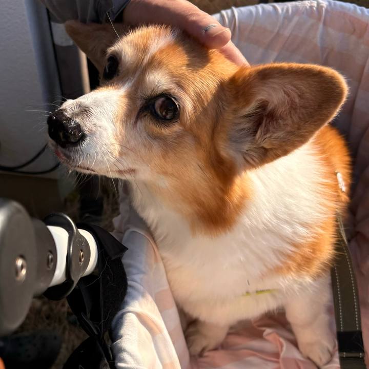 0728a6e5 4051 4641 8e19 9ee692c56a07 1769996539016