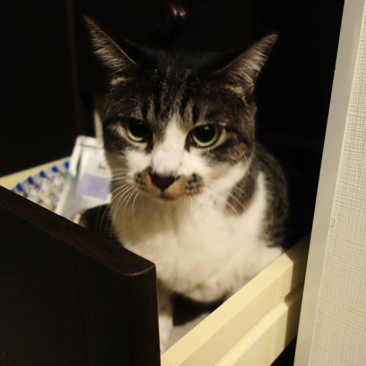 0728fddf c2b5 41e0 a562 3c9304bb8141 1770201404620