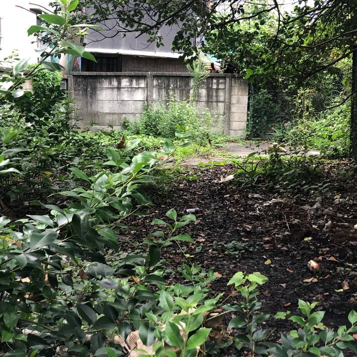 072919c9 29f0 4d0e befb 548c080054de 1566721195137