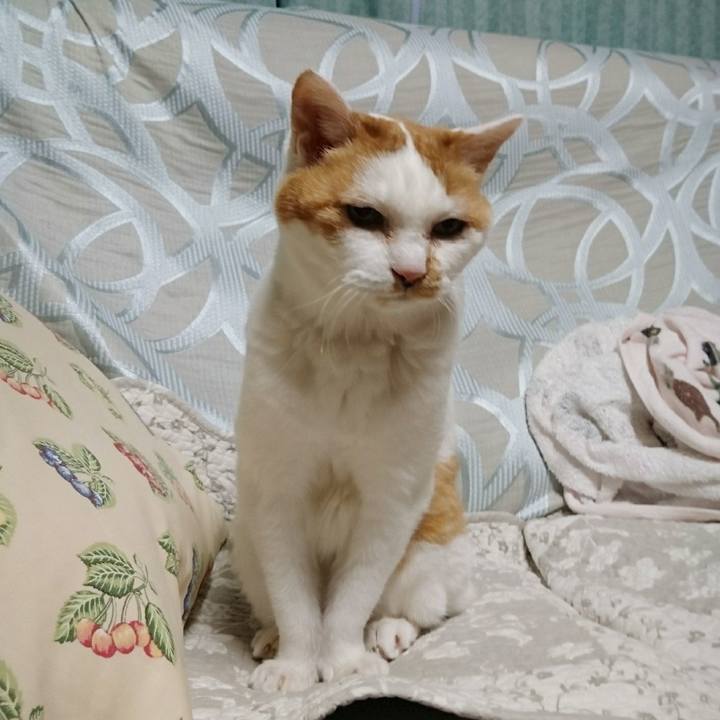 072933df 26bd 4490 9430 015b44e71d8b 1525251118529