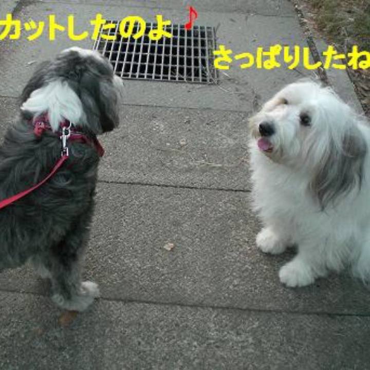 07297abd 9255 4fc4 931f dcb03d75788f 1540958810154