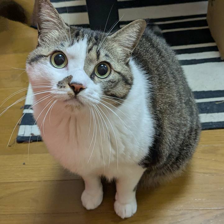 07297d28 244a 49ba 8062 16227d2aad41 1736892992249