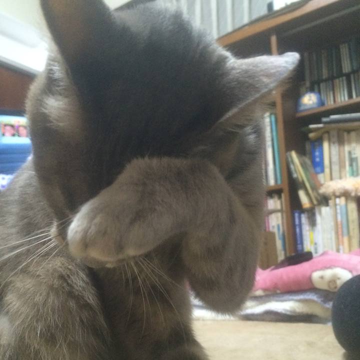 072988fe 8c28 41c0 b96b d8ace77833a2 1562933051174