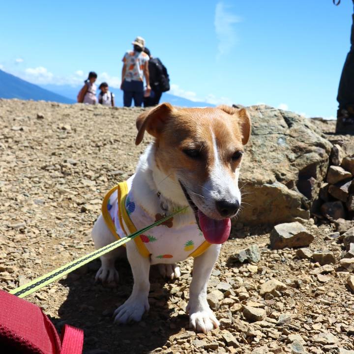 072998fb d2ab 4f5f bd49 d4bbda688c9c 1597459982622