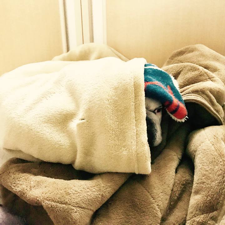 072999d4 49d0 442d 9e90 c1b8d8487477 1518672687813