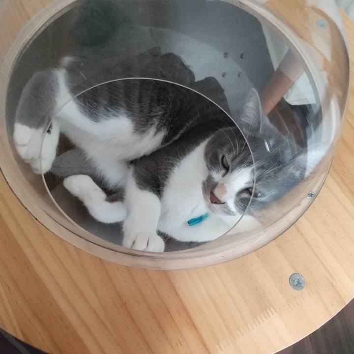 0729ae5b b2b0 4ee8 a750 503b900eb507 1632279972685