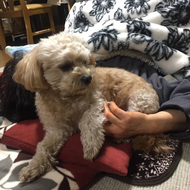 0729b67c 4c5f 4d9d b276 6d542894a037 1543681309628