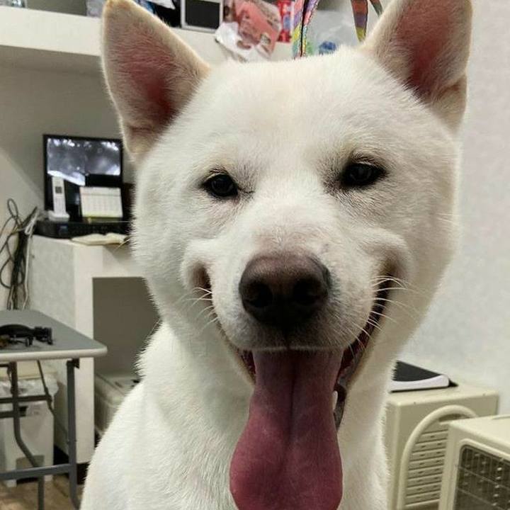 0729c3e7 307d 4f59 b57f 6e34b9e3bfaa 1575114309889