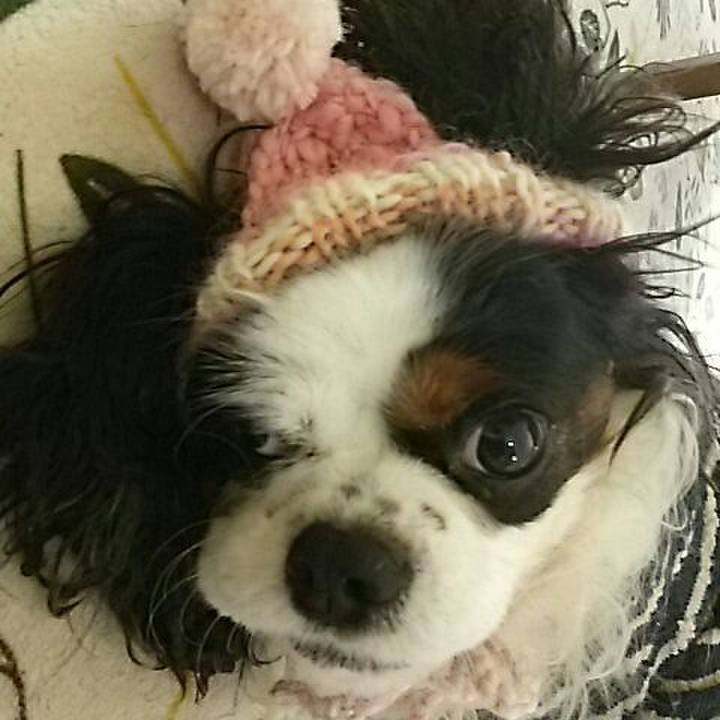 0729ccf3 fd18 4388 93b4 48fc313a86d6 1542265190385