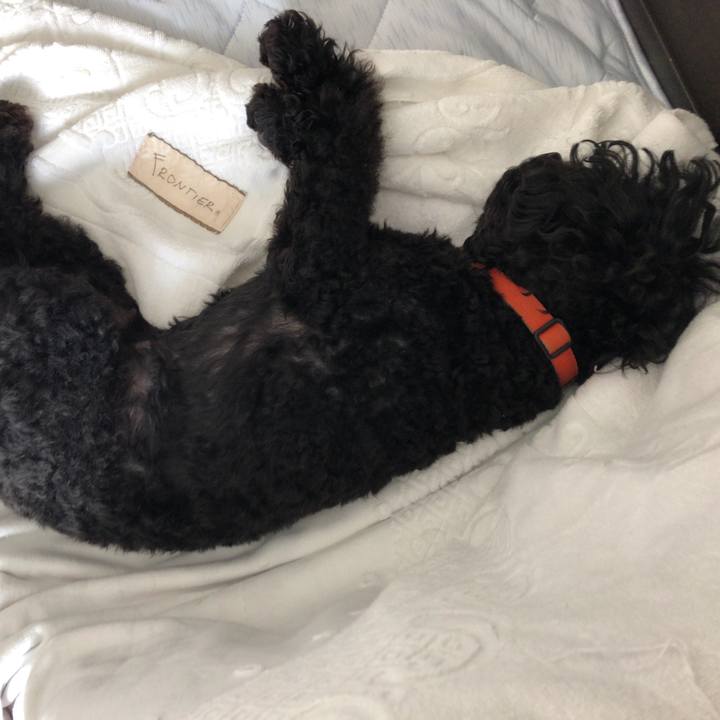 0729d623 54cd 4504 84e1 52b8b5a4f4e9 1536540933304