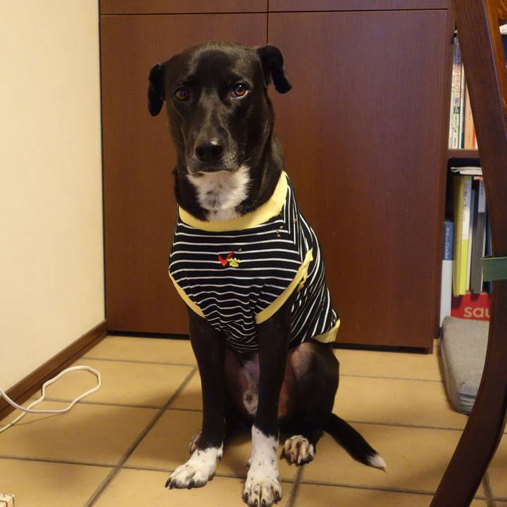 0729e614 ff0e 431a a5a1 cf136f8521dc 1605434690544