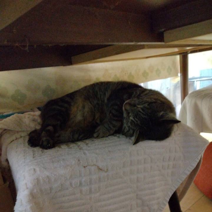 072a1f6d f9cb 4730 af94 fa5bb5f5e308 1681166486545