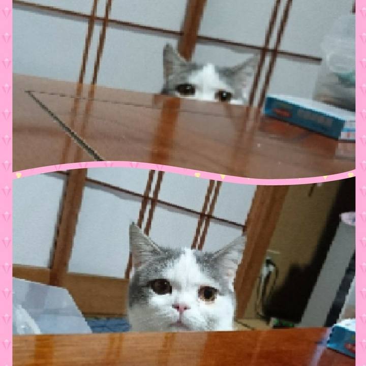 072a437b 852e 49ae b6ee ea1a474223c5 1548284582622