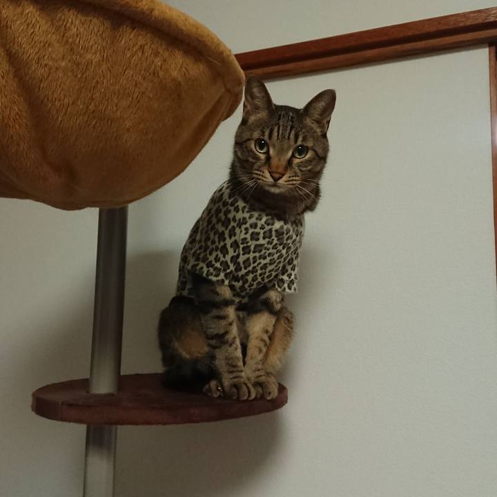 072a5a8e f8a4 4eb6 8e19 c54f984c5e05 1563273711585