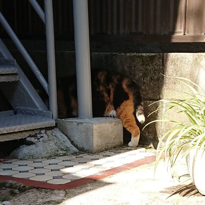 072a671b 462a 4867 95ae ac9564a9da46 1653866815921