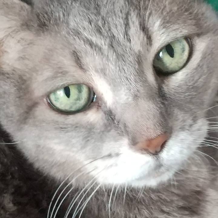 072a7211 0c81 4d16 b83c 8d7c65017860 1693694997467