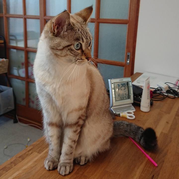 072a8d66 8bce 4213 b876 5903e90e26f0 1513125934442