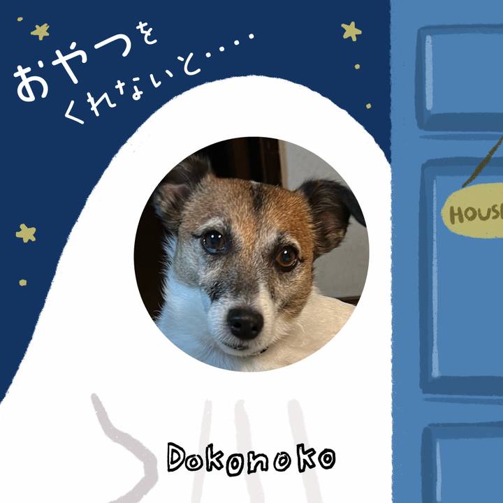 072a90e0 4a10 4cf6 abb5 43895d9b93c1 1729082165923