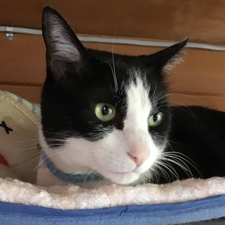 072abe95 19d8 483b 8ca4 ee556db53910 1747297226390