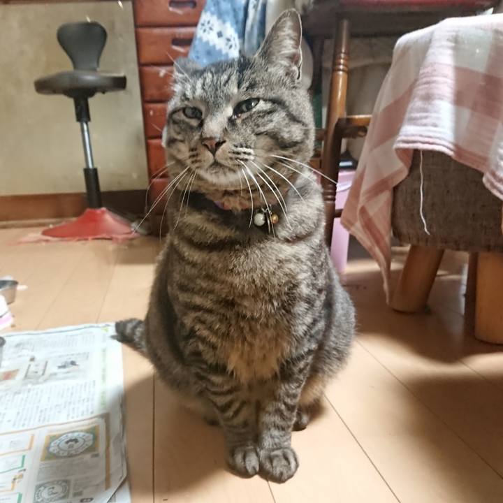 072acf8b 941e 4c87 986e fc2412bfbe19 1652609543660