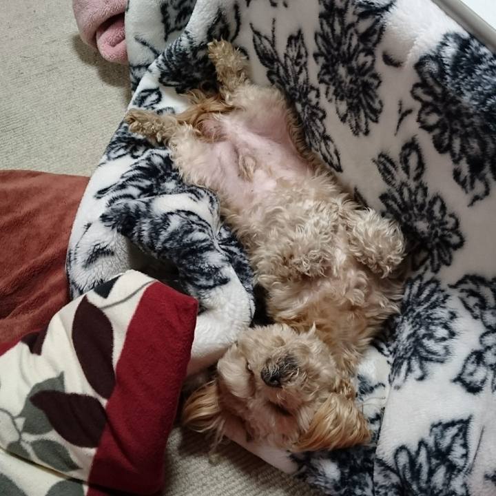 072b3462 63bc 4d24 b66a b032ac9efb4c 1551190694243