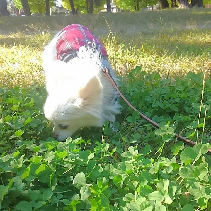 072b3910 52dc 4104 ae6f 0ebe8f119ab8 1712898070865