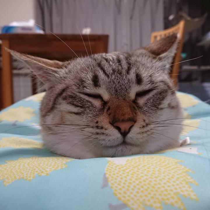 072ba9a5 c436 4c41 ab13 485977db53b0 1566478019814