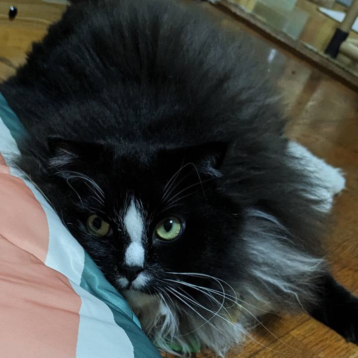 072baa27 313b 4314 adbc 35e845e48ccb 1695887982023