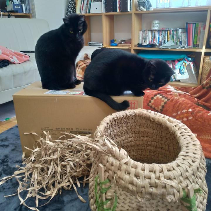 072bacc5 a41a 419d 9cca 83f46e4215f6 1577592093334