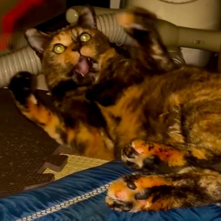 072bc260 5405 41da 87d9 ea7c28263e00 1760128869368