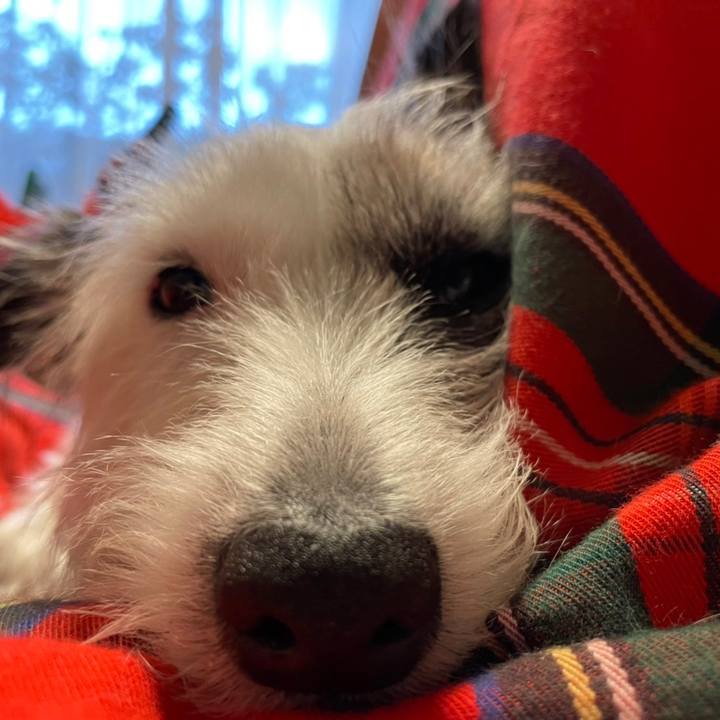 072bde31 db77 4a77 8ffa d68c520594cf 1669956461258