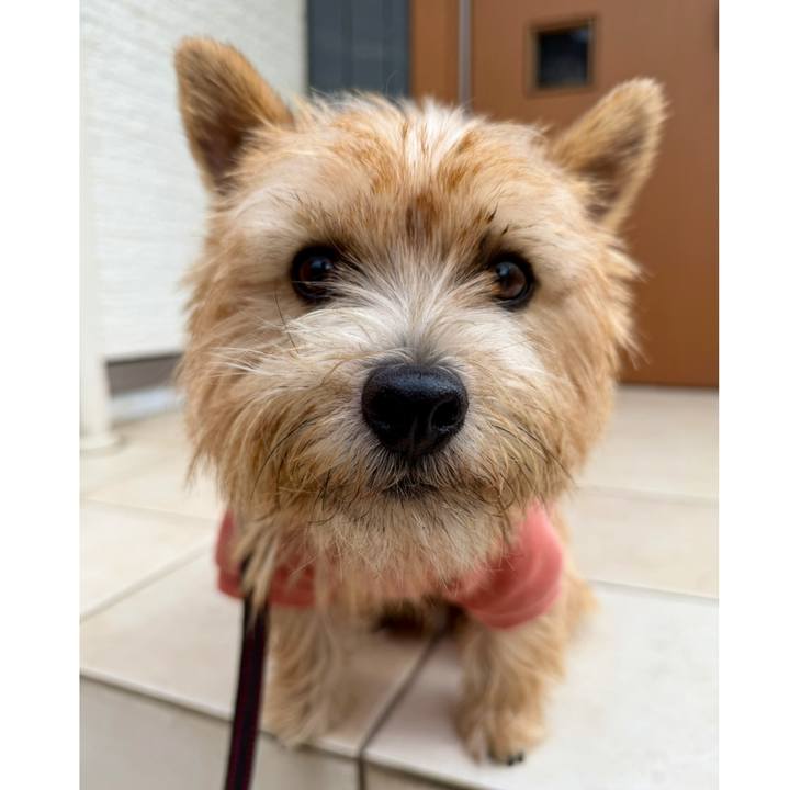 072bfc96 c9fa 43c9 ae22 d64a5332e030 1763186907070