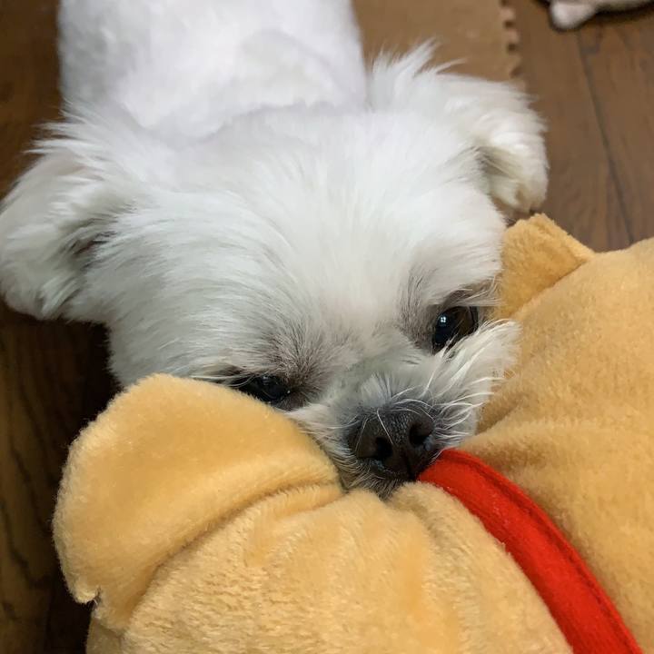 072c07c5 f5bd 40ff 8410 2f7ab2622a02 1645017012055