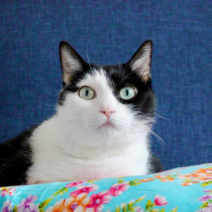 072c0de8 6e45 4f0a be0a 16b5fa83fbdd 1624227520303