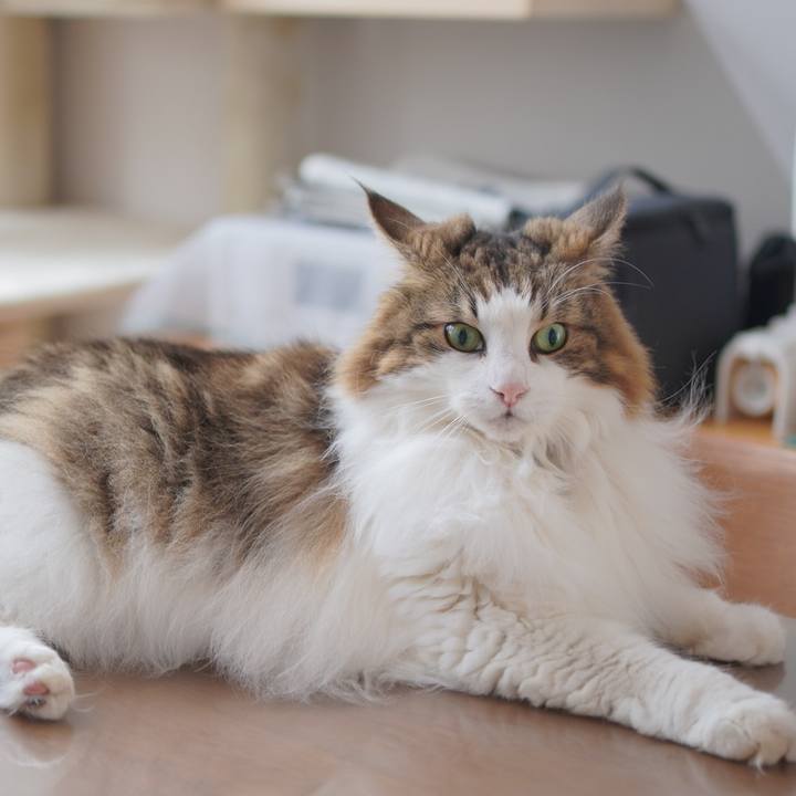 072c152e 0618 42d0 946a fda9df3a02ed 1696126726711