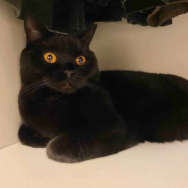 072c84c9 8a8a 4d92 8ed8 35598813d6f8 1622617918706