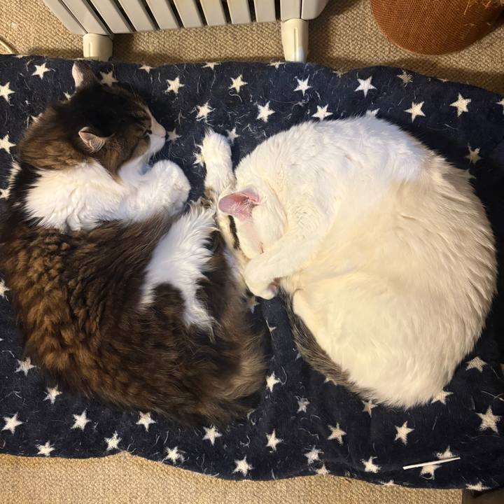 072c9942 d507 482f 8185 1953aec63a92 1740439092464