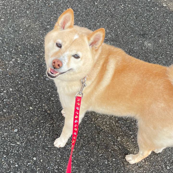 072ca7e9 1b9e 457a 99c2 26ccf0880e01 1736223841612