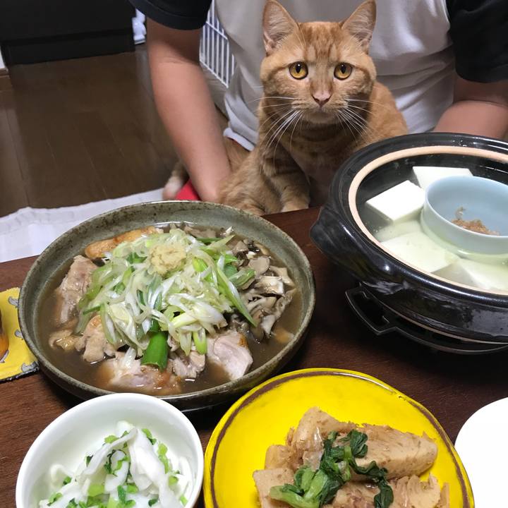 072cc7e7 a59f 4197 8647 dfab59f22e4a 1538222794212