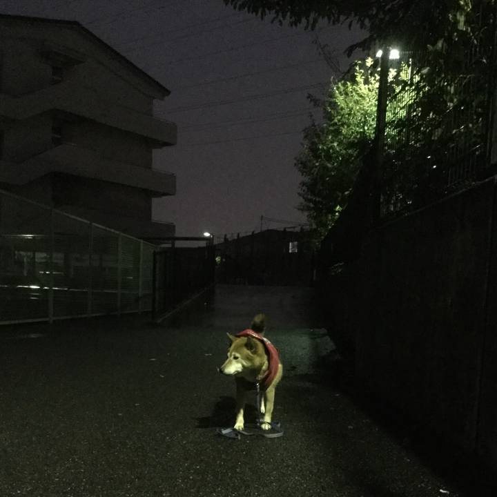 072cd149 7068 4bc8 992b 0d20cabd0d6e 1571302601354