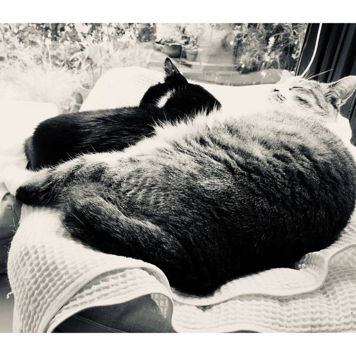 072ce568 cec1 400b b3be d6141fe7cd48 1570592028203