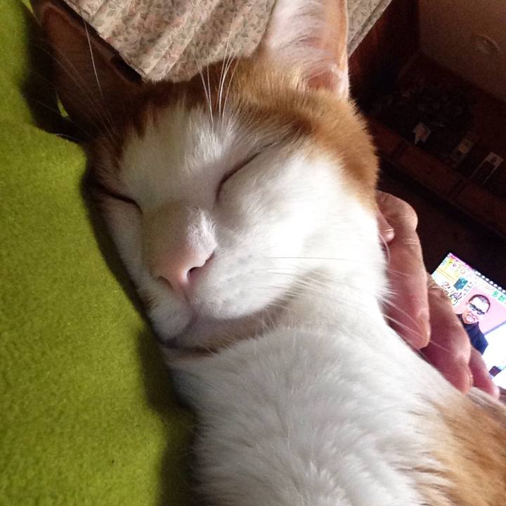 072d1cf5 2f95 4fa0 9807 e1ee7b08ecfa 1511348938489