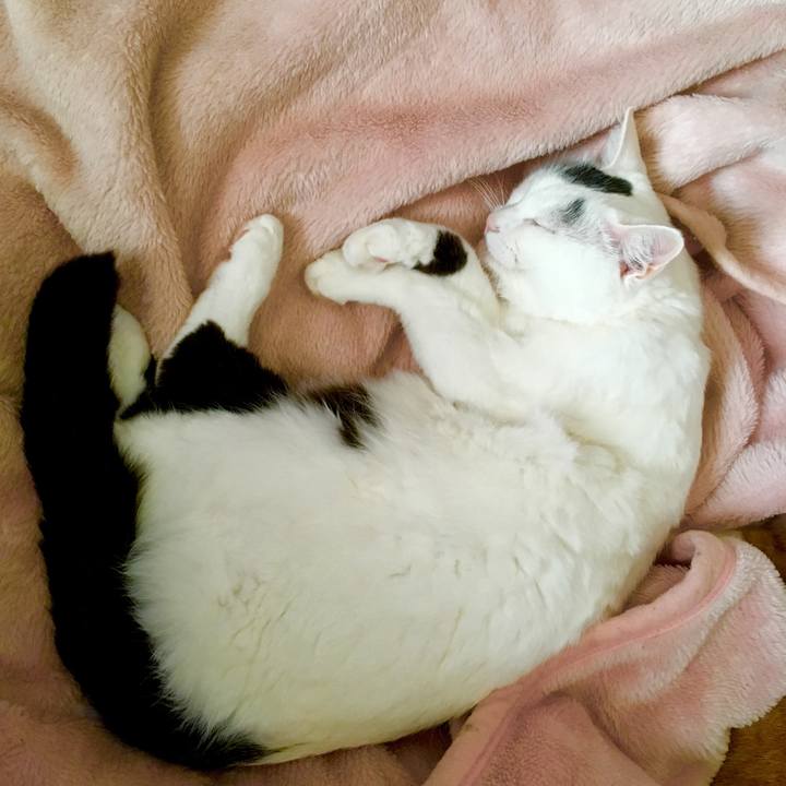 072d2b9e 10e3 4112 8104 60146b1eafb5 1553916837141