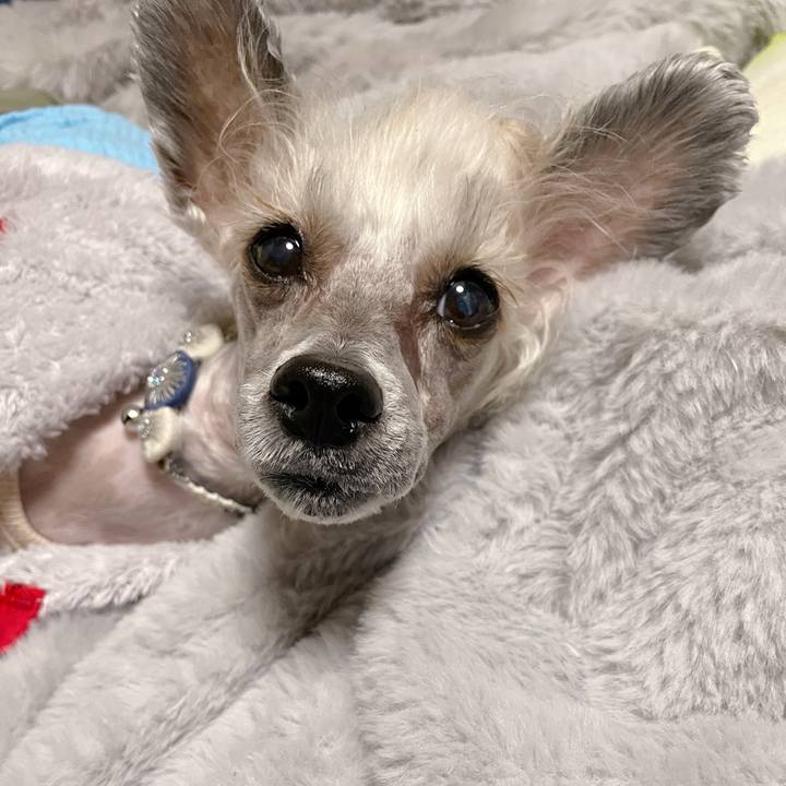 072d2c75 6bd9 4dc5 98f2 ad2217129ef7 1764150192502