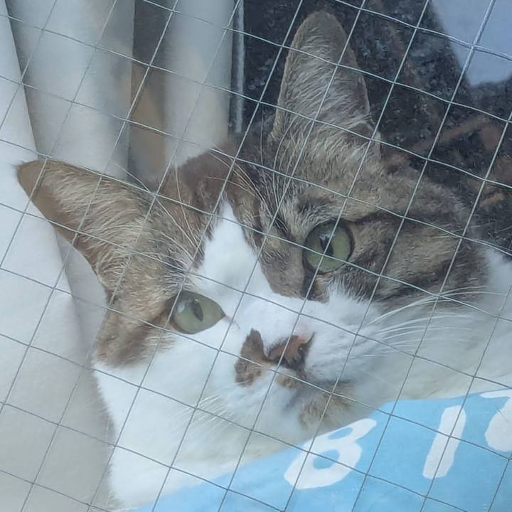 072d5cd8 11cb 437b 9448 15273a9fafc8 1770849898061