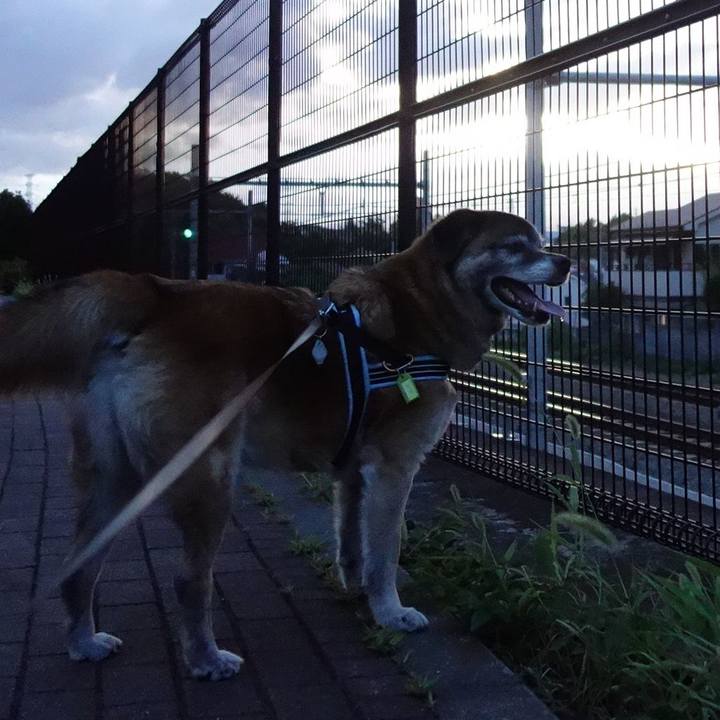 072d963f 2404 4338 aa45 922efc98171e 1530702594457